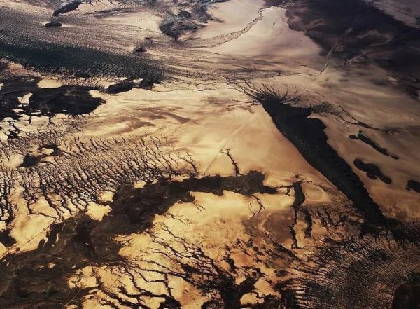 ARIZONA ARTISTS MEMBERS OF MOAZA - Museum of Arizona Artists (MOAZA)